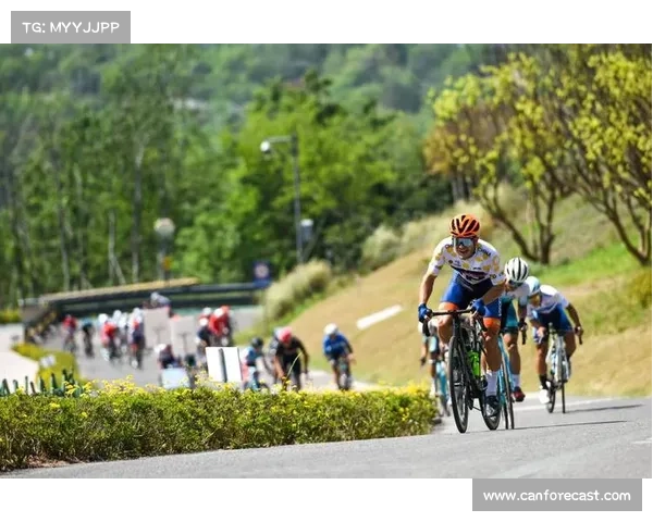 中国羽协公布全年赛事计划 国际国内赛事全程直播助力羽坛发展 中国羽协公布全年赛事计划 国际国内赛事全程直播助力羽坛发展