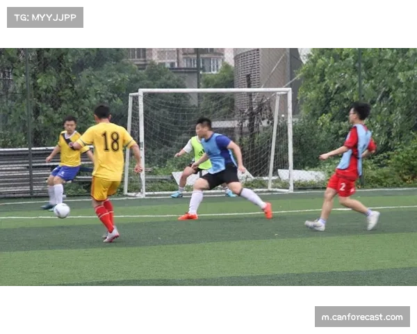 浙江队四后卫体系磨合成熟 零封对手展现攻防平衡性